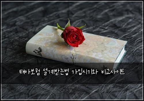 태아보험 설계받는법  가입시기와 비교사이트