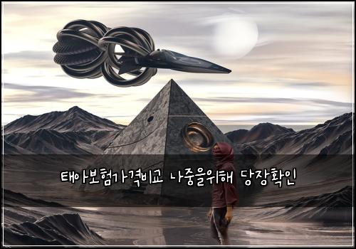 νμ보νκ°κ²©λΉκ΅ λμ€μμν΄ λΉμ₯νμΈ