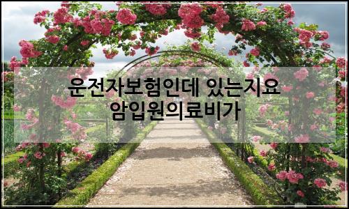 오늘의 이미지