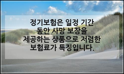 오늘의 이미지