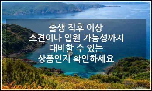 오늘의 이미지