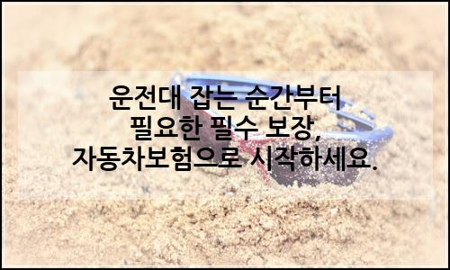 오늘의 이미지