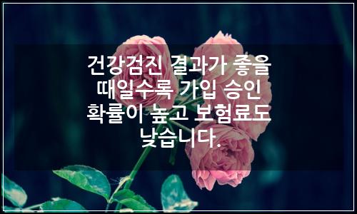 오늘의 이미지