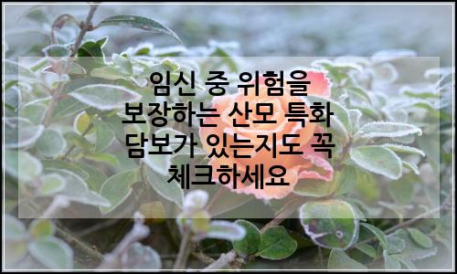 오늘의 이미지