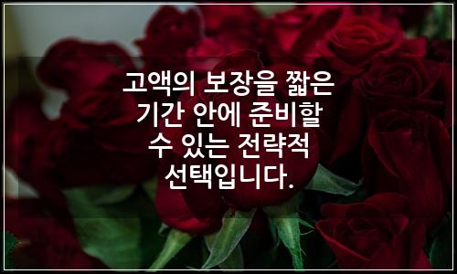 오늘의 이미지