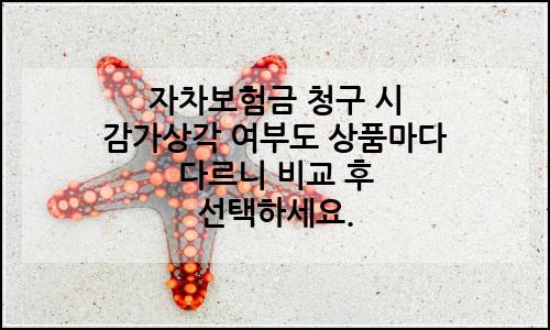 오늘의 이미지