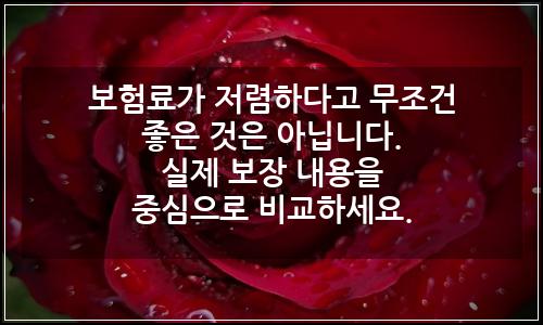오늘의 이미지