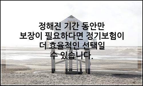 오늘의 이미지