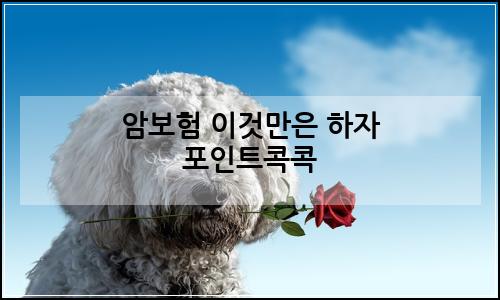 오늘의 이미지