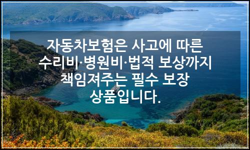 오늘의 이미지