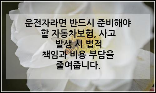 오늘의 이미지