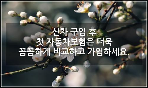오늘의 이미지