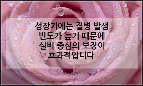 오늘의 이미지