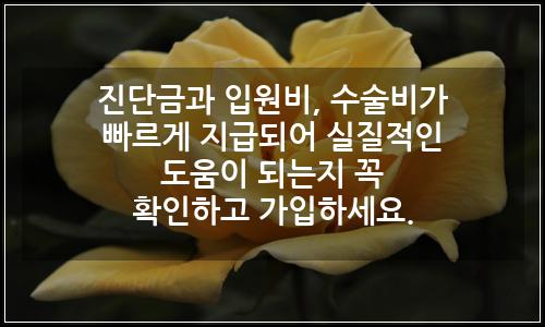 오늘의 이미지