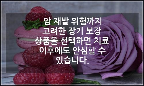 오늘의 이미지
