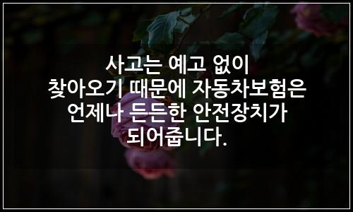 오늘의 이미지