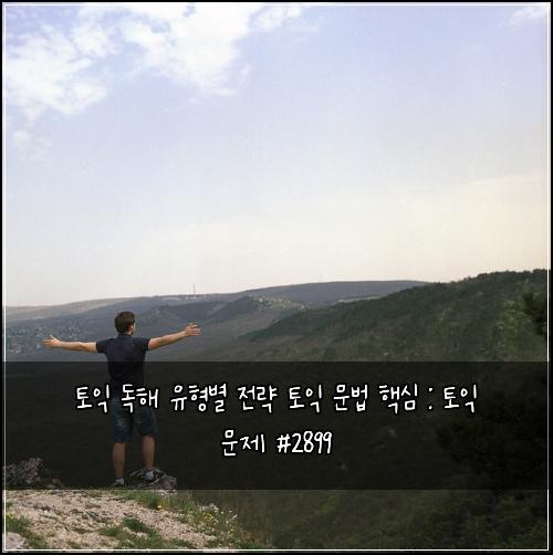 토익 독해 유형별 전략 토익 문법 핵심 : 토익 문제 #2899