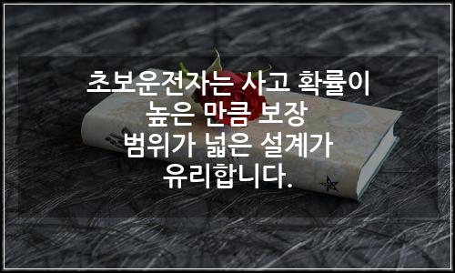 오늘의 이미지