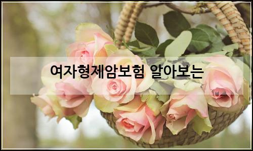 오늘의 이미지