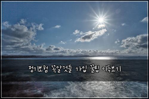 정기보험 꼭알것들  가입 꿀팁 이득보기