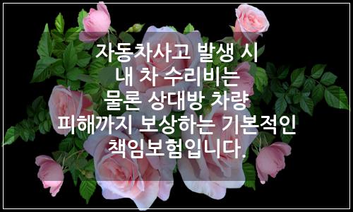 오늘의 이미지