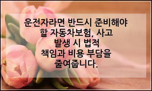 오늘의 이미지
