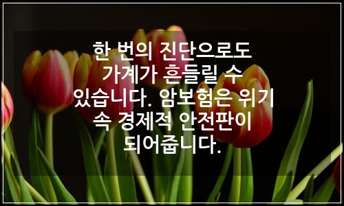 오늘의 이미지