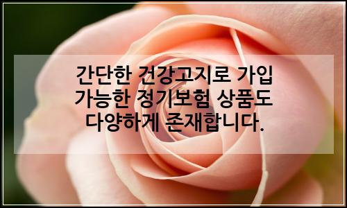 오늘의 이미지