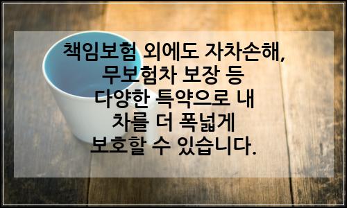 오늘의 이미지
