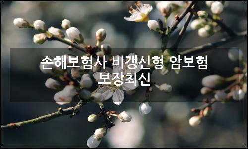 오늘의 이미지