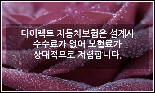 오늘의 이미지