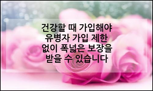 오늘의 이미지