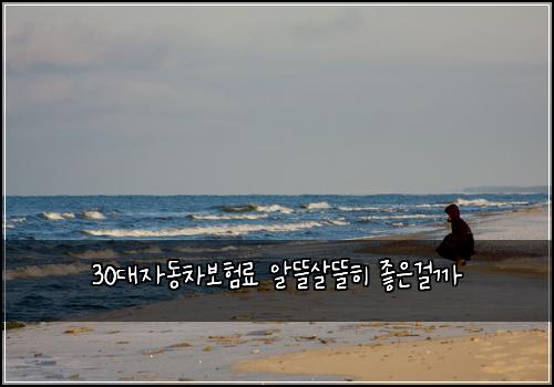 30대자동차보험료 알뜰살뜰히 좋은걸까