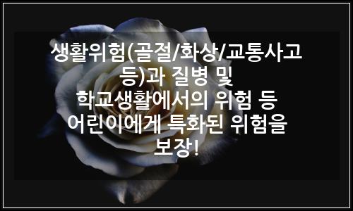 오늘의 이미지