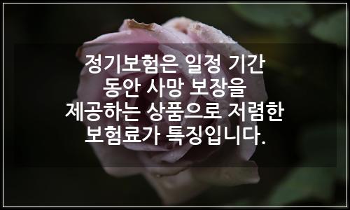 오늘의 이미지