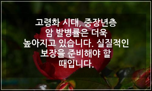 오늘의 이미지
