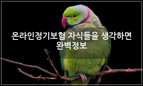 오늘의 이미지
