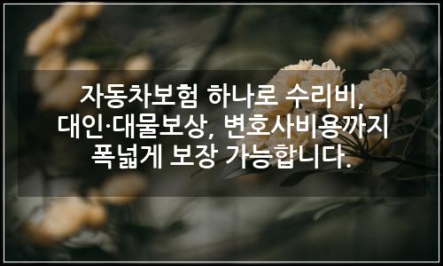 오늘의 이미지