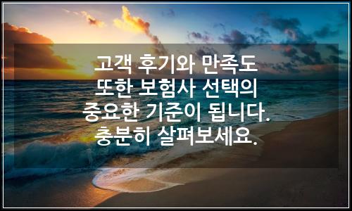 오늘의 이미지