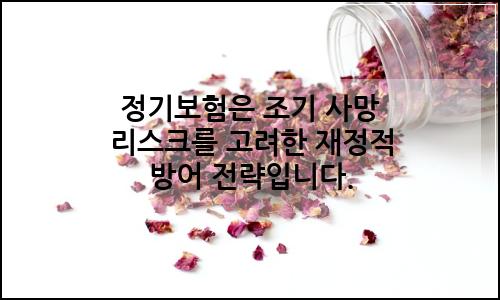 오늘의 이미지