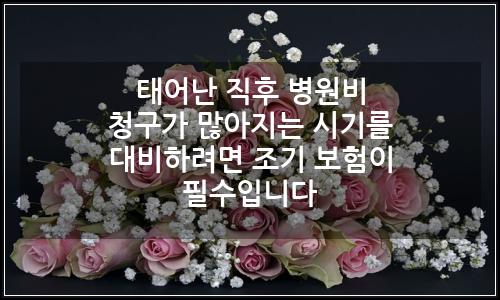 오늘의 이미지