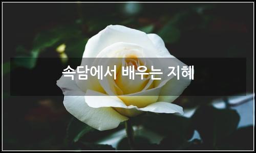 오늘의 이미지