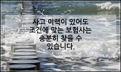 오늘의 이미지