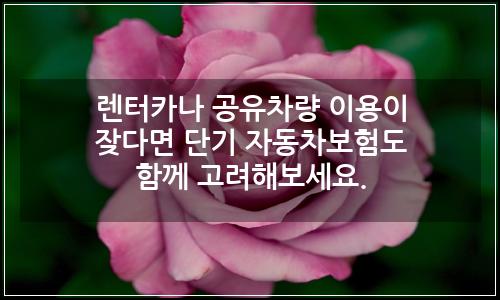 오늘의 이미지