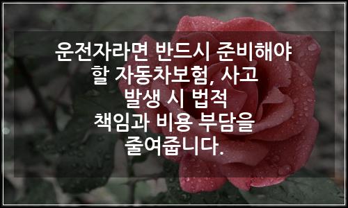 오늘의 이미지