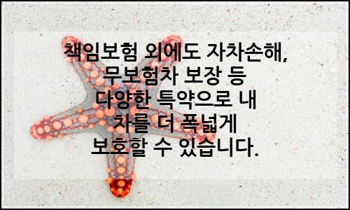 오늘의 이미지