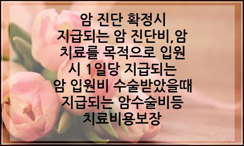 오늘의 이미지