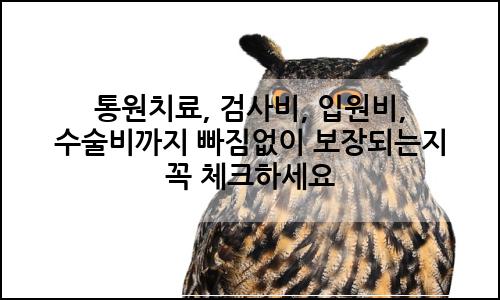 오늘의 이미지