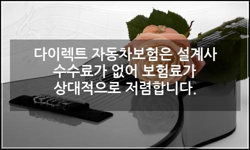 오늘의 이미지