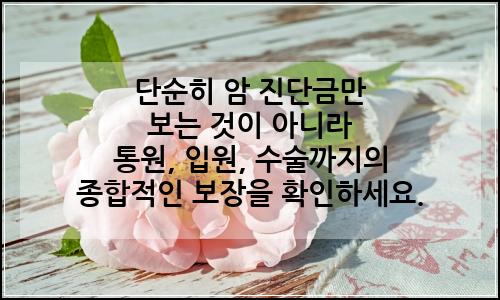 오늘의 이미지